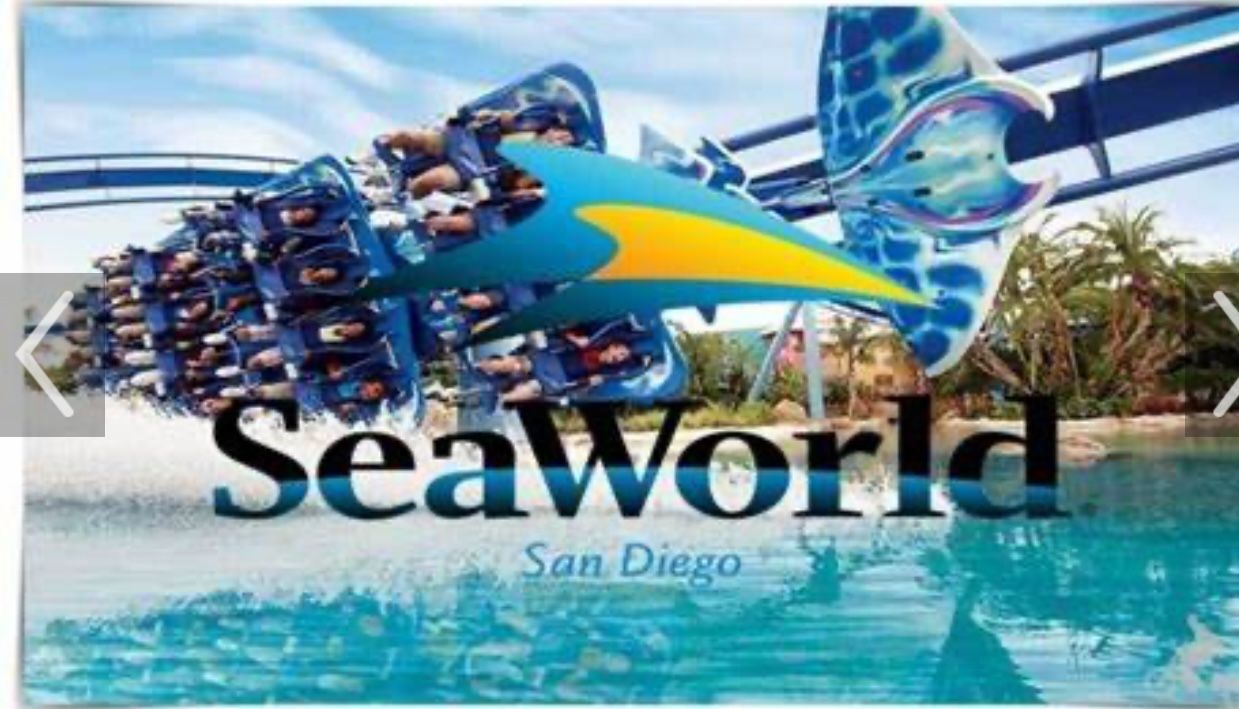 Seaworld One Day Pass
