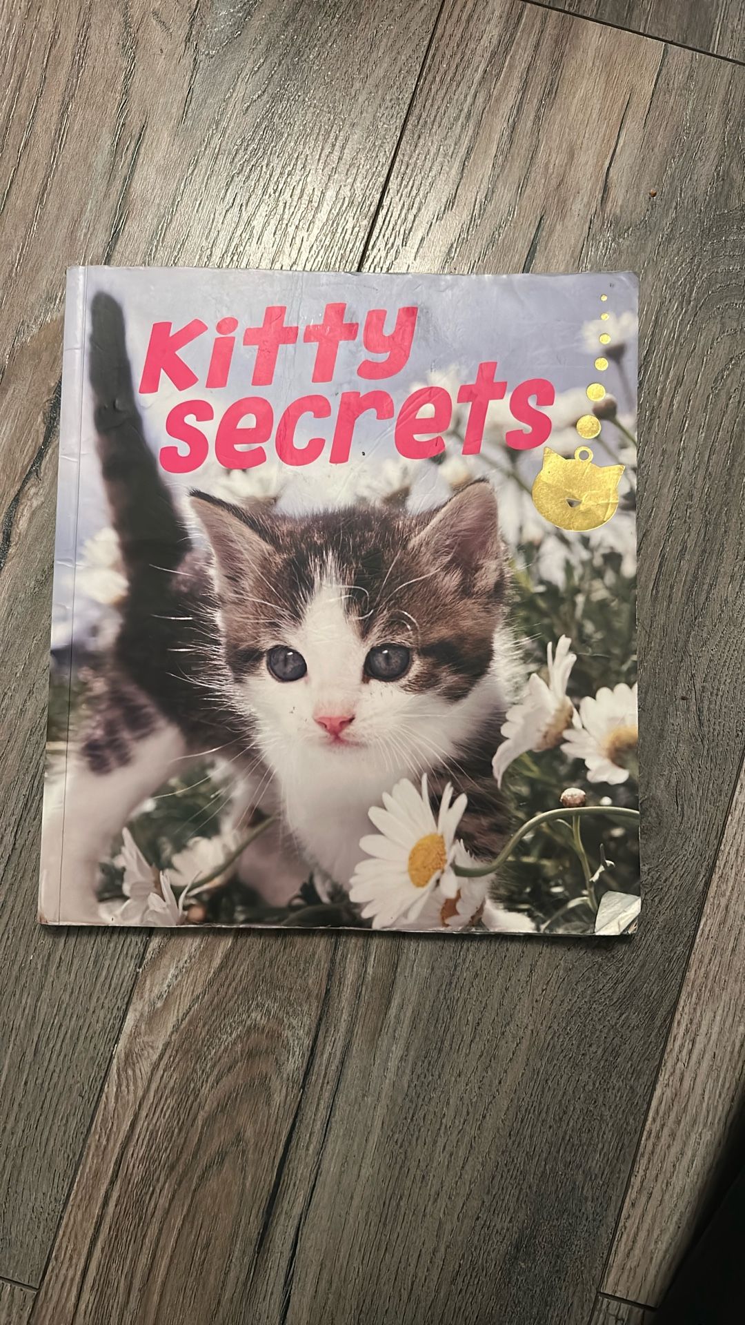 Get to know the many different types of cats and their little secrets!