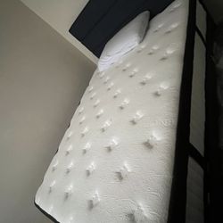 12 Inch Full Mattress 