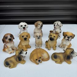 Dog set (11 pcs)