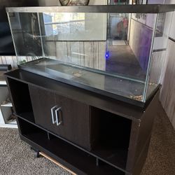 Fish Tank 55 Gallon 