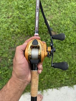 Gold Solus Xcs Casting Reel Paired with The Big Sexy Rod