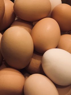 Organic eggs!
