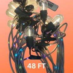 15 Shatterproof LED Bulbs on a 48-foot Outdoor String Light with Color-Changing Light Emitting Wire