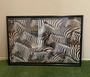 Zebra Print (Framed) 24”x36”