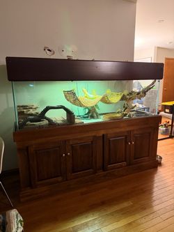 Aquarium tank