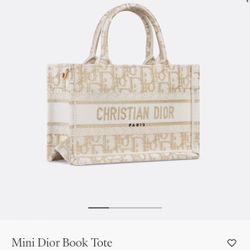 Dior Bag