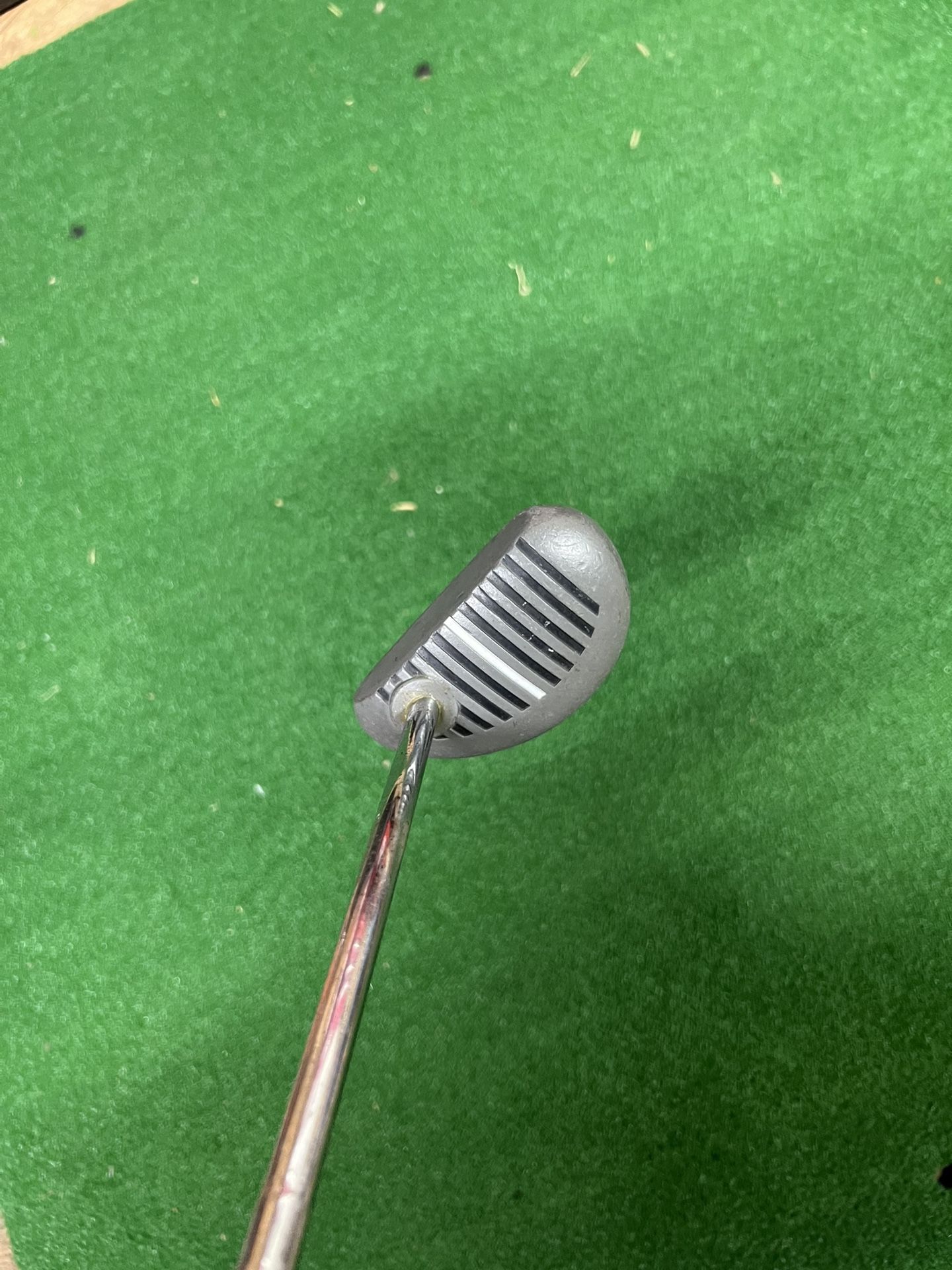 Zebra Putter