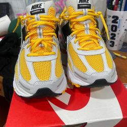 Nike vamero 