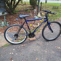 ROADMASTER  MT.FURRY 