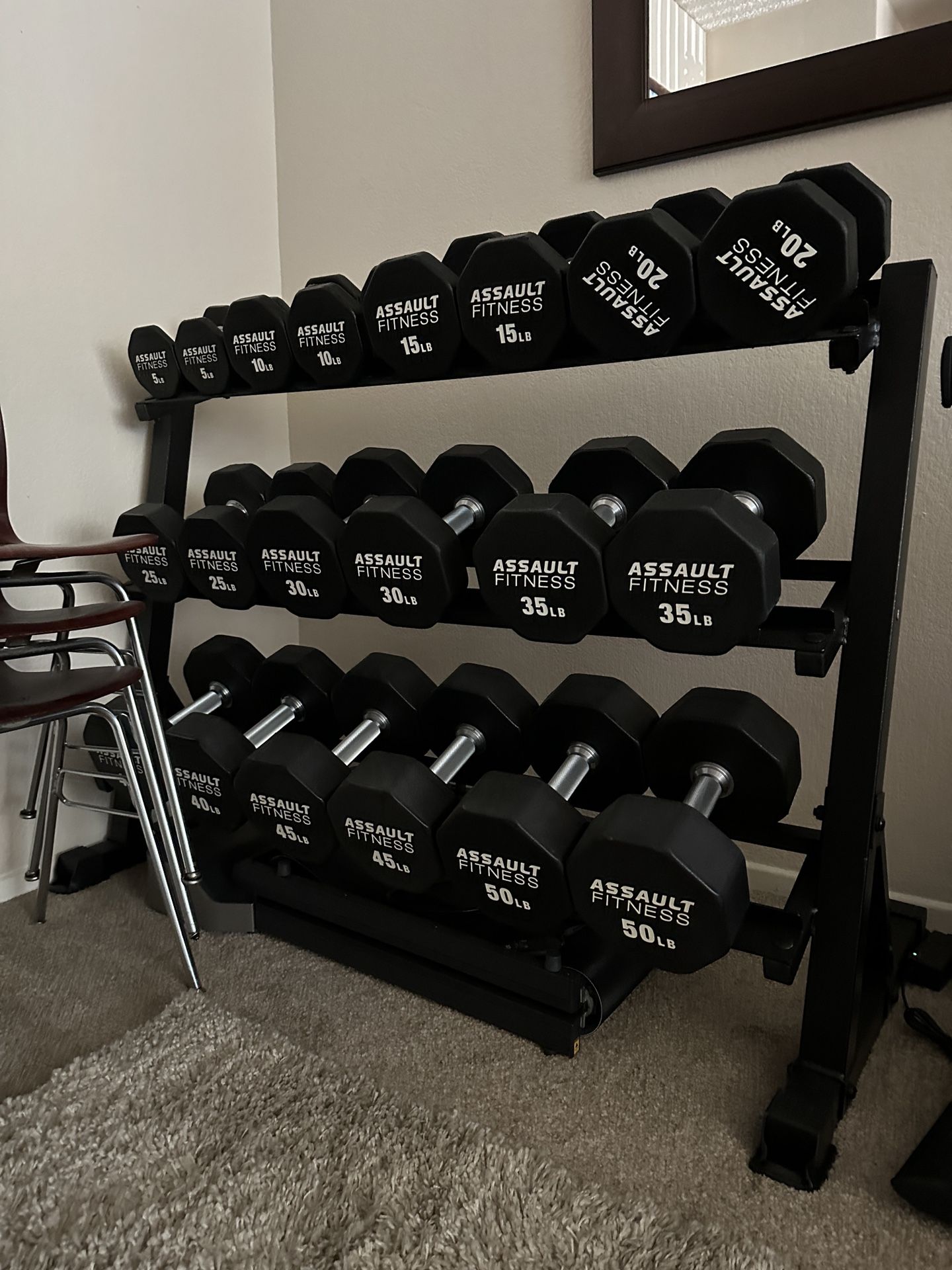 Assault fitness Dumbbells 5-50 Lbs