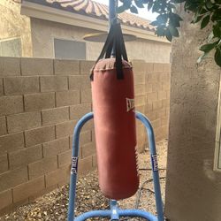 Heavy Bag With Speed Bag Platform