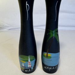 Salt And Pepper Shakers 