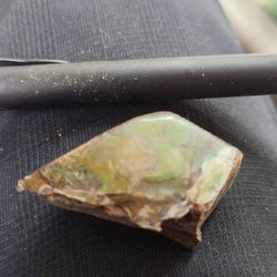 Ammolite 