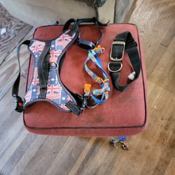 Dog Collars, Harnesses And Bowl