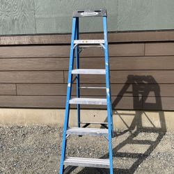 Werner 6’ Ladder