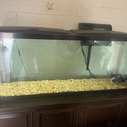 Pecera 80 Gal ones