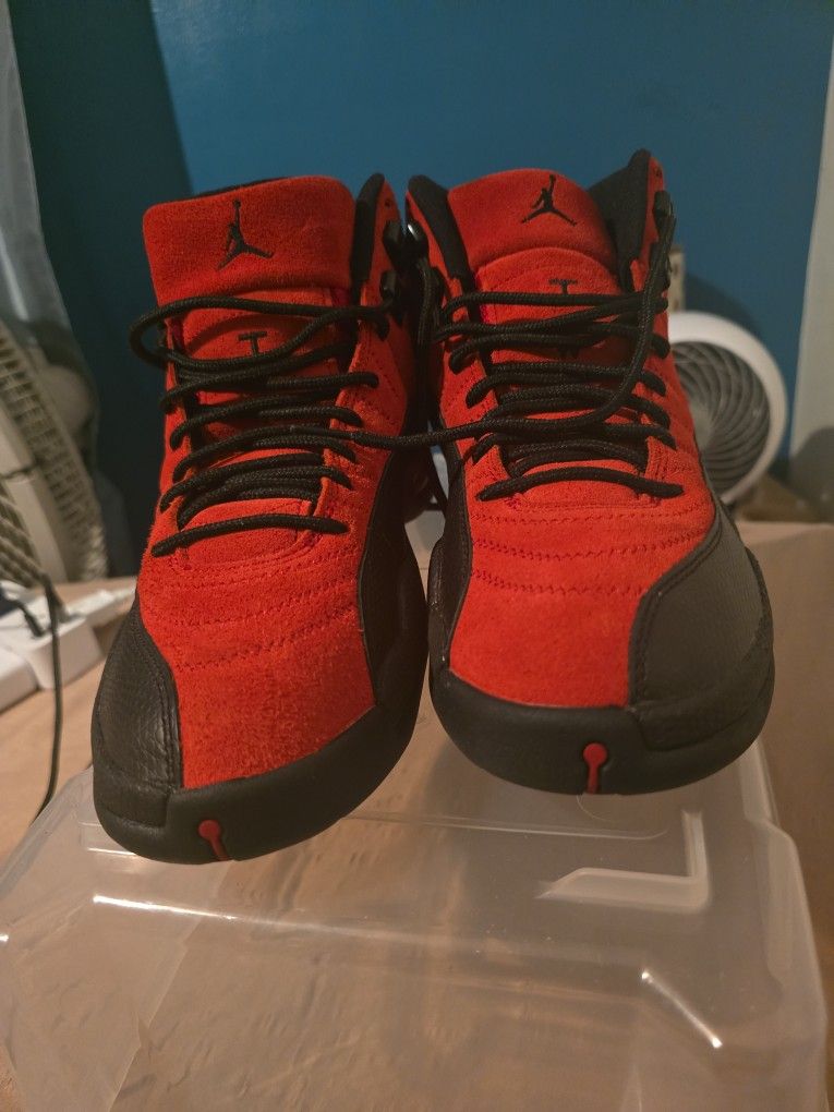air jordan 12 reverse flu game