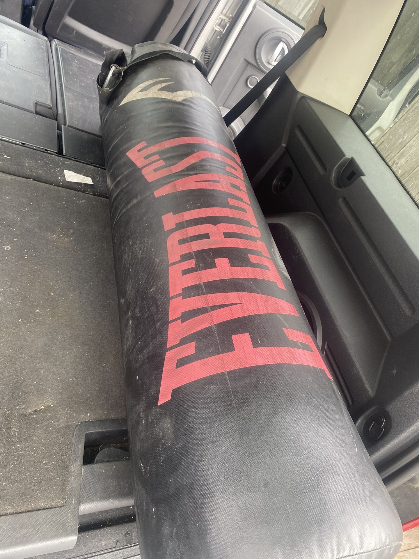 Everlast Punch Bag