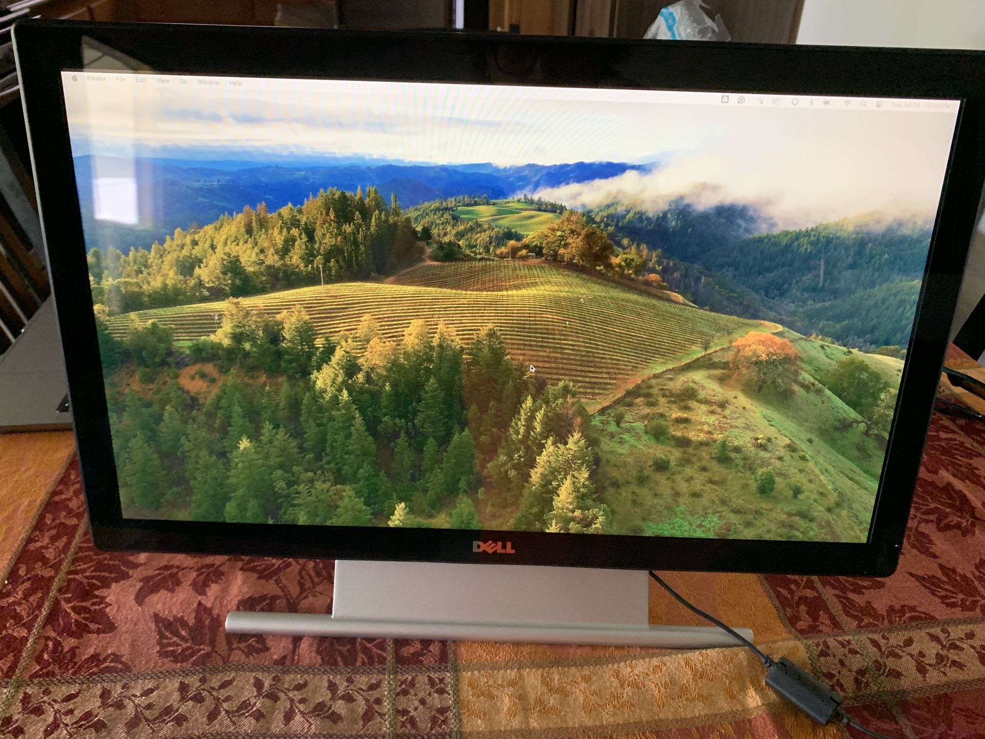 24in Dell Monitor