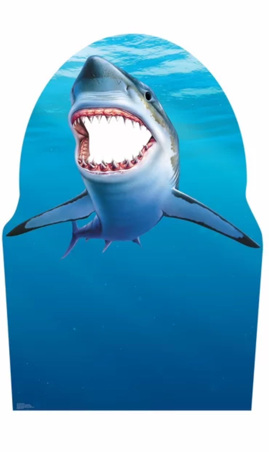 Shark Cardboard Cutout
