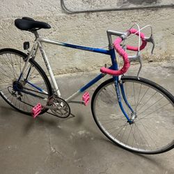 Schwinn Bicycle