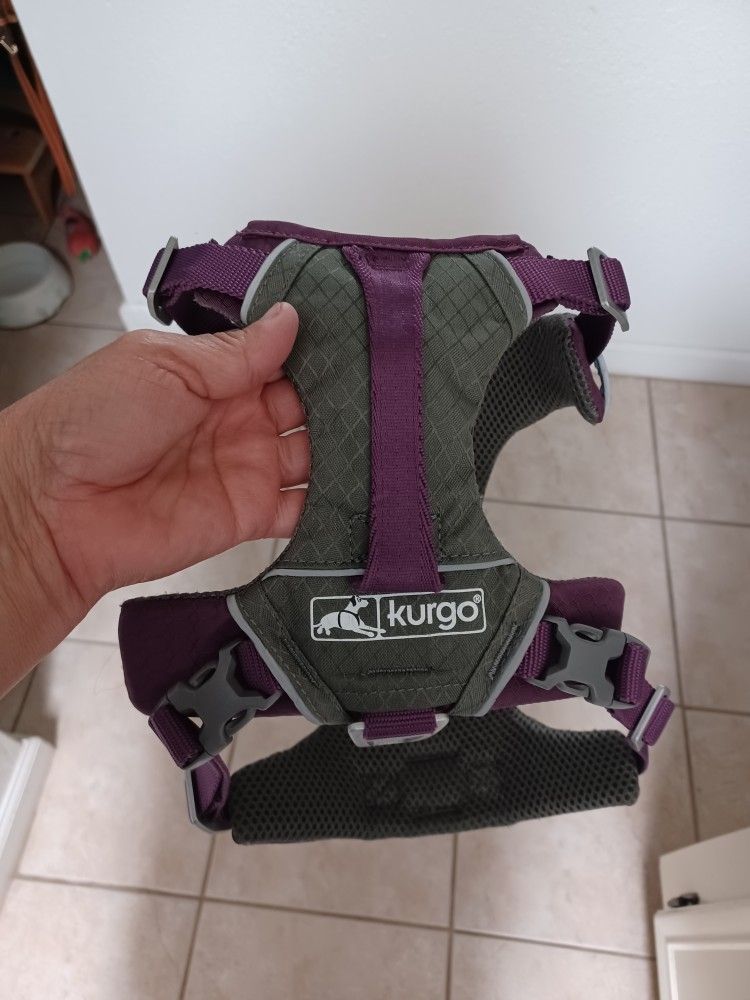 Dogs  harness.