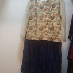 Pakistani Party Clothes Blue Gold & Silver 