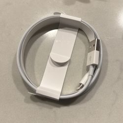 Apple Lightning Cable to USB with wall Adapter