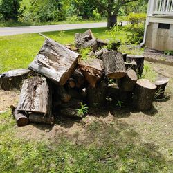 Wood