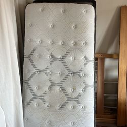 Serta Twin Size Bed + Box Spring
