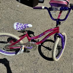 Young Girls Bicycle 20”