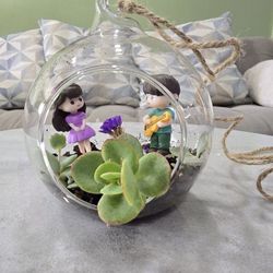 Hanging plants