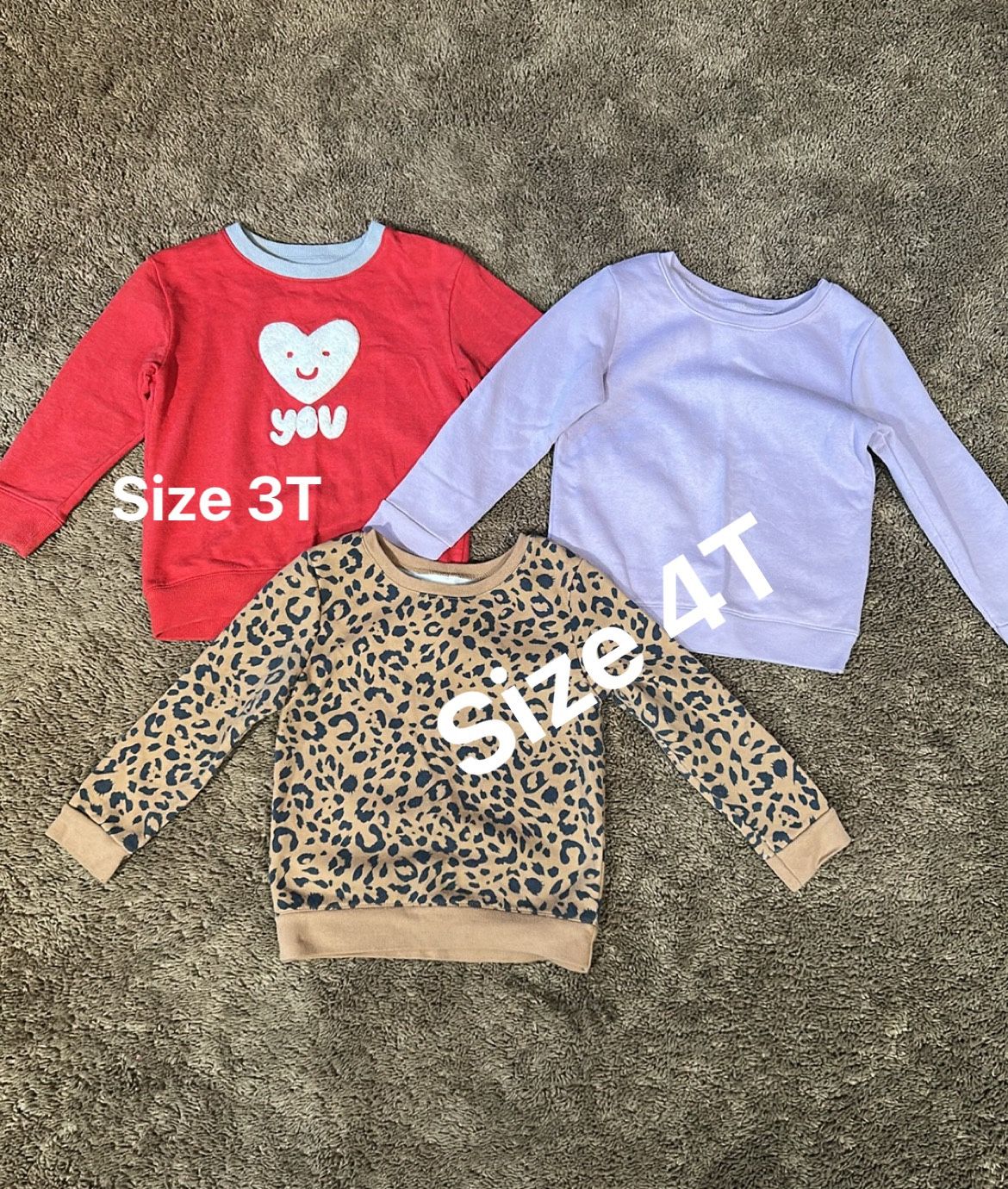 Toddler Girl Sweatshirt Bundle Variety Size 4T