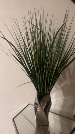 Beautiful plant decor