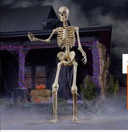 Squeleton halloween