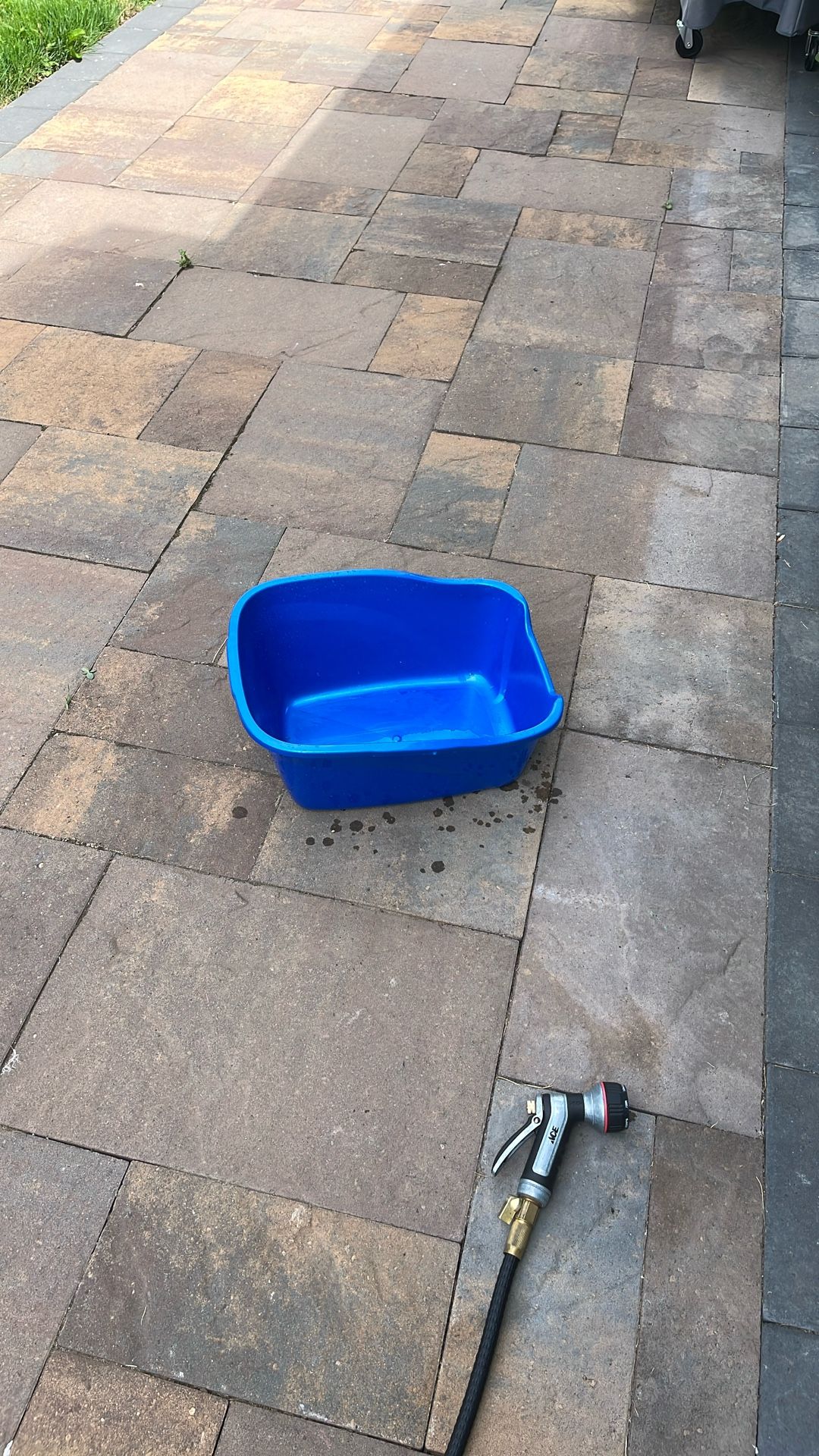 Free Cat Litter Tray