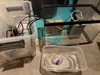 Axolotl Aquarium Tank Supplies
