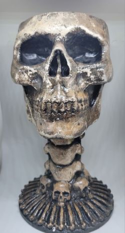 8.25 Inch Tall Skull Goblet / Planter