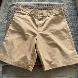 Patagonia Shorts 