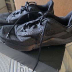 Women's Shoes like new  multiple pairs 