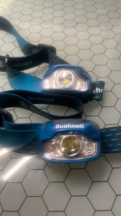 Two head lights bushell