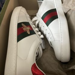Gucci Shoes 