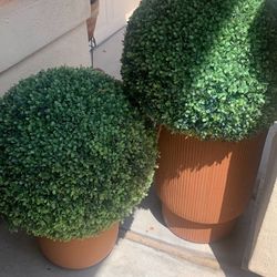 Artificial Boxwood Ball Topiaries No Pots