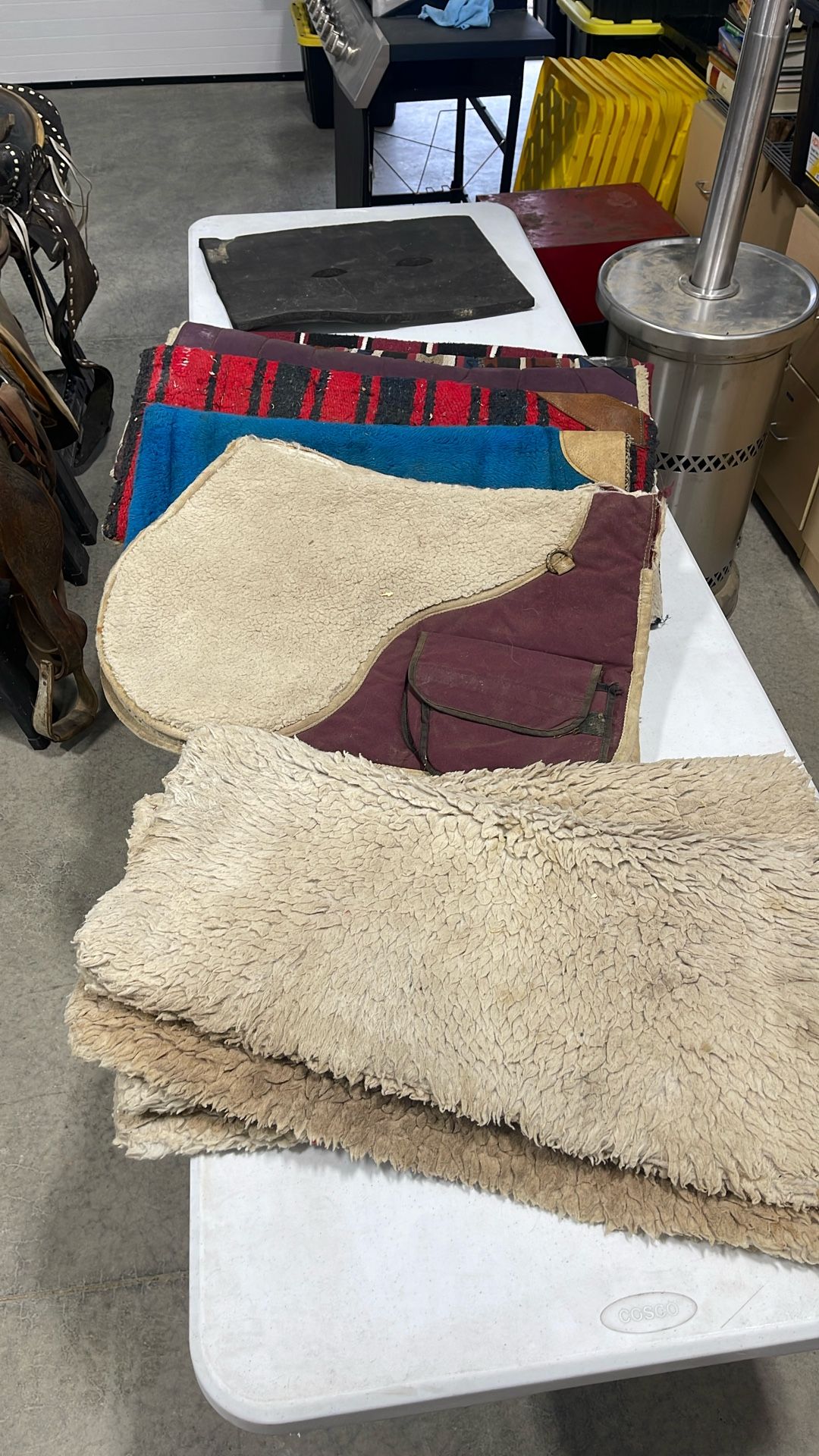 Horse Blankets