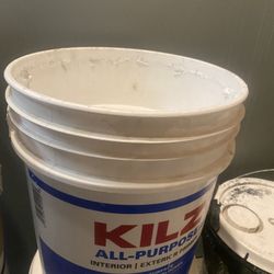 2 Cubetas De Primer Uno Casi Lleno Y El Otro Como 3/4 $100 Por Los 2 