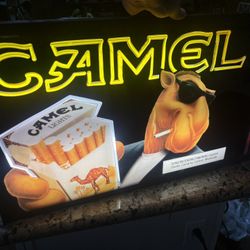 Camel Open Sign