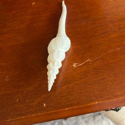 A Shisha that I found in the ocean