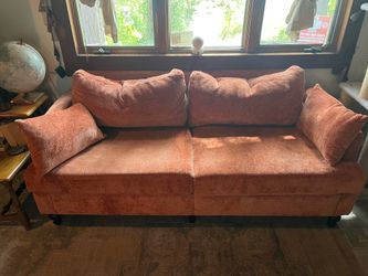Burnt orange couch