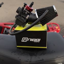 Nibbi Carburetor
